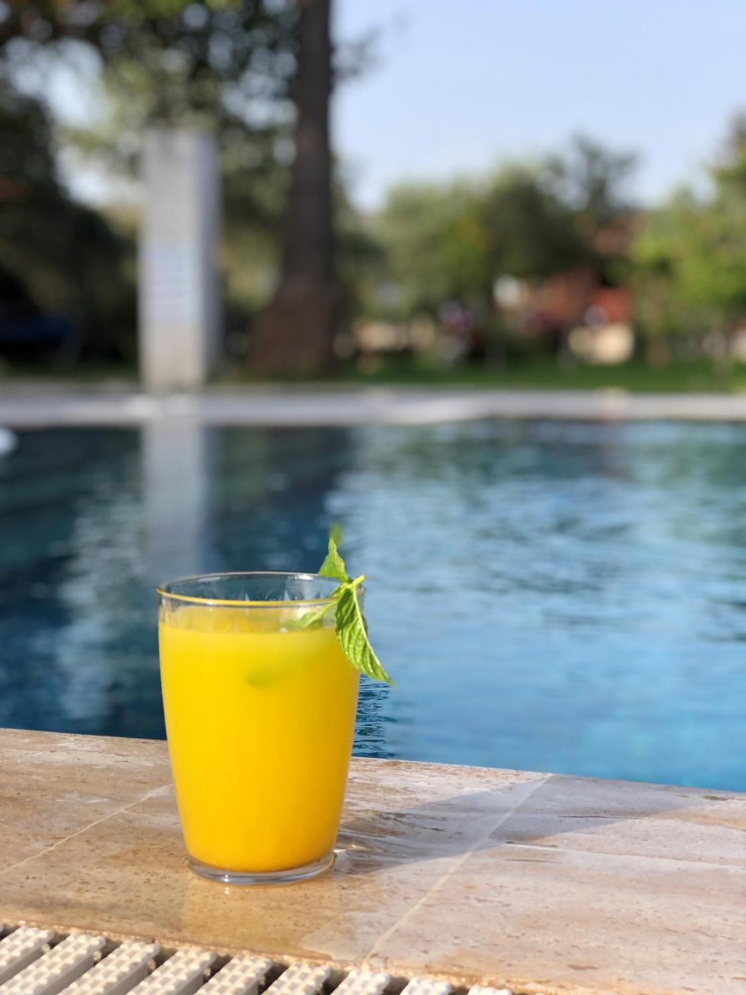 Defne Olive Gardens, Koca Calis, - Previously Defne * Fethiye