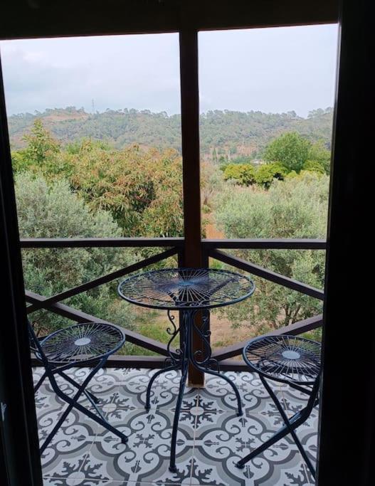 Festina Lente Fethiye