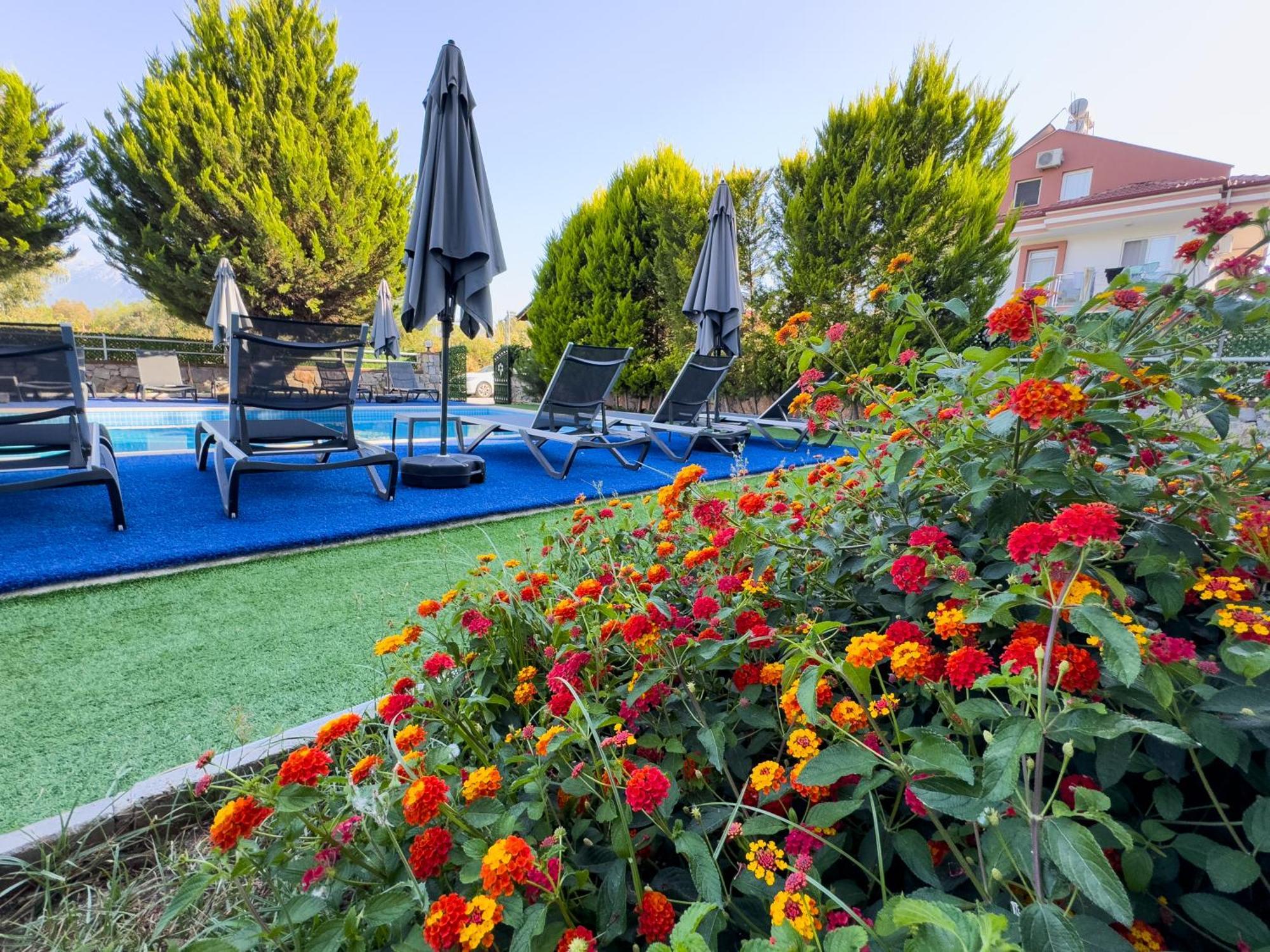 Hotel Sardunya Fethiye