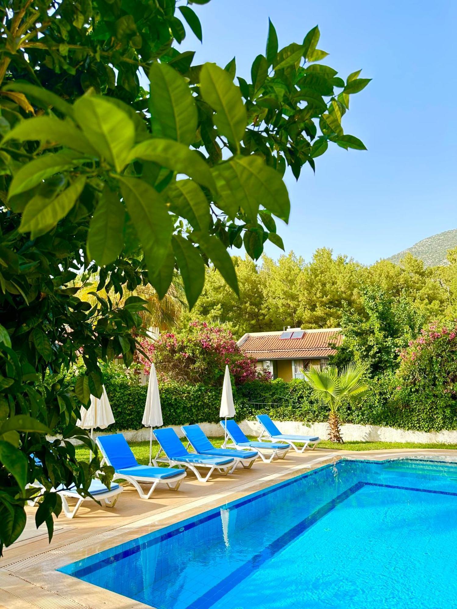 With A Private Pool And Mountain View In A Quiet Area Next To Fores