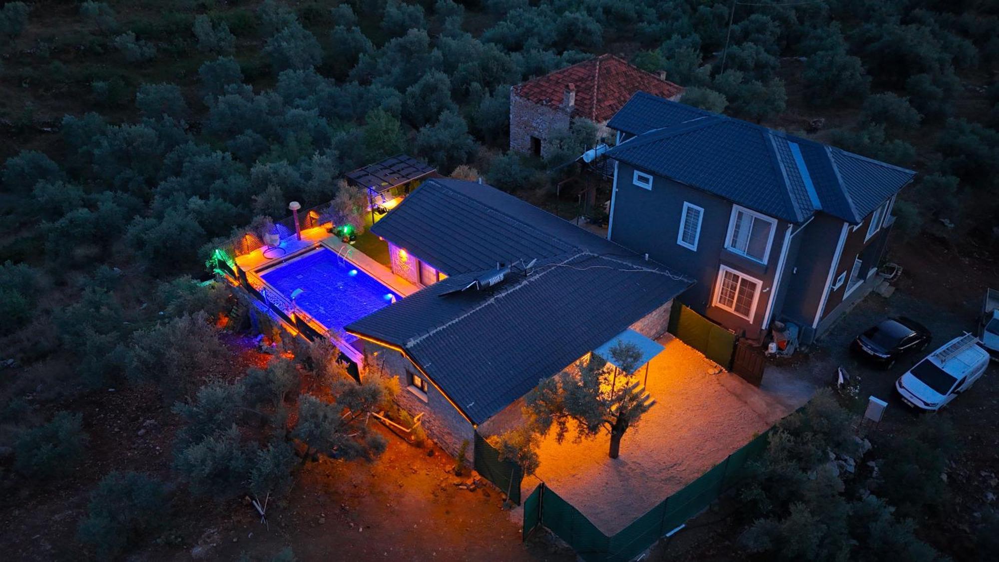 Villaoliveterrace Villa
