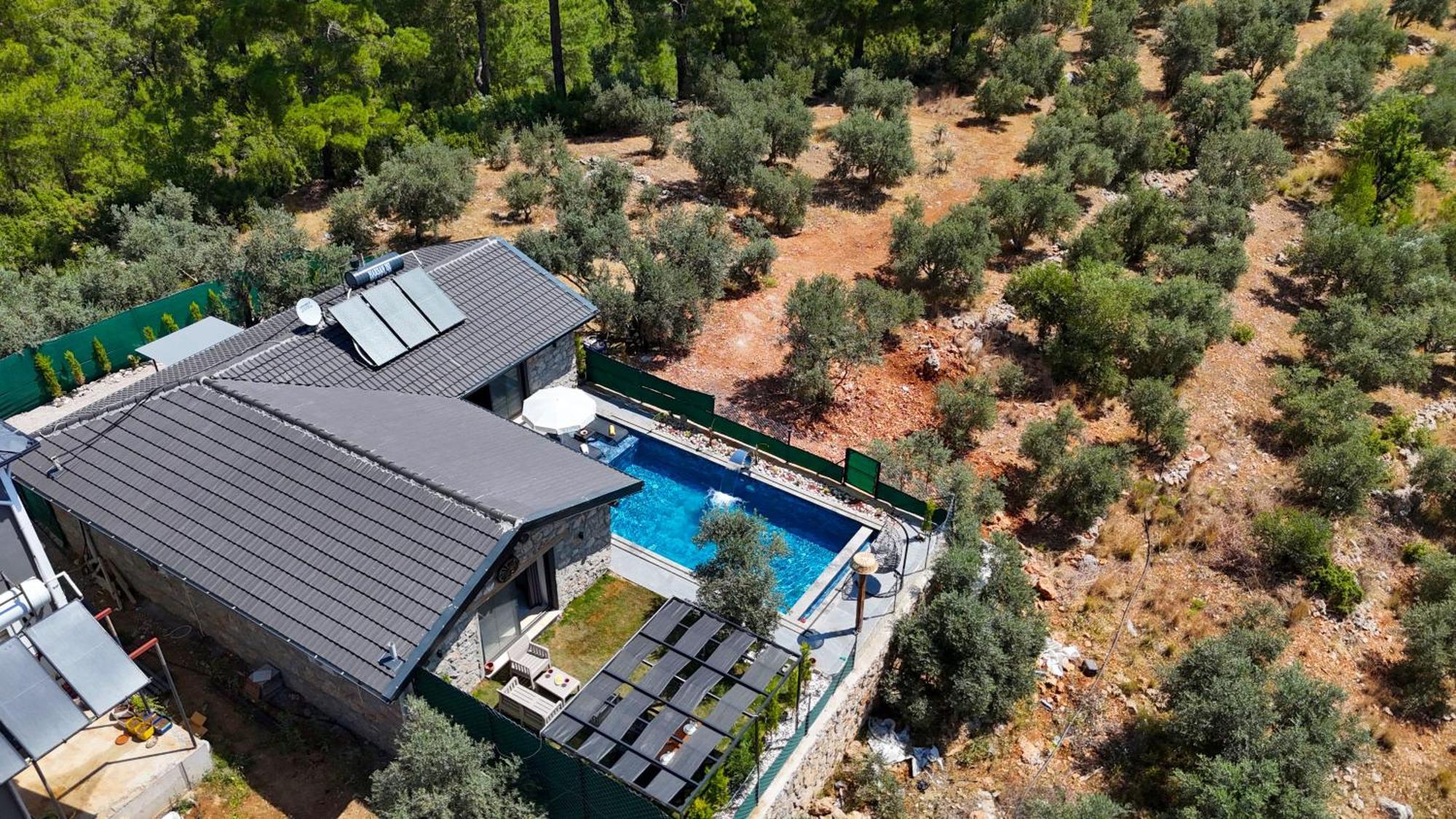 Villaoliveterrace Villa