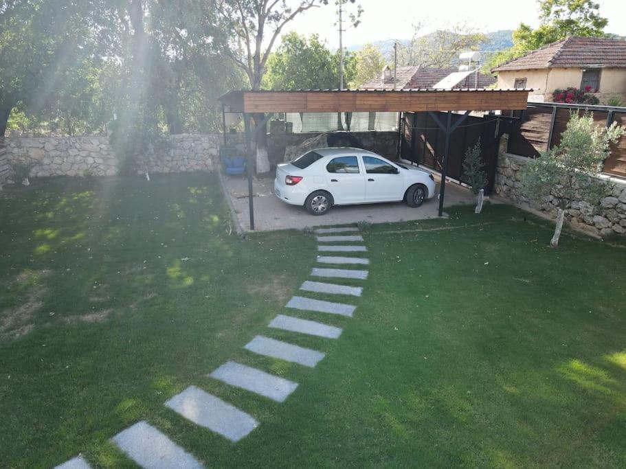 Miro House Villa *
