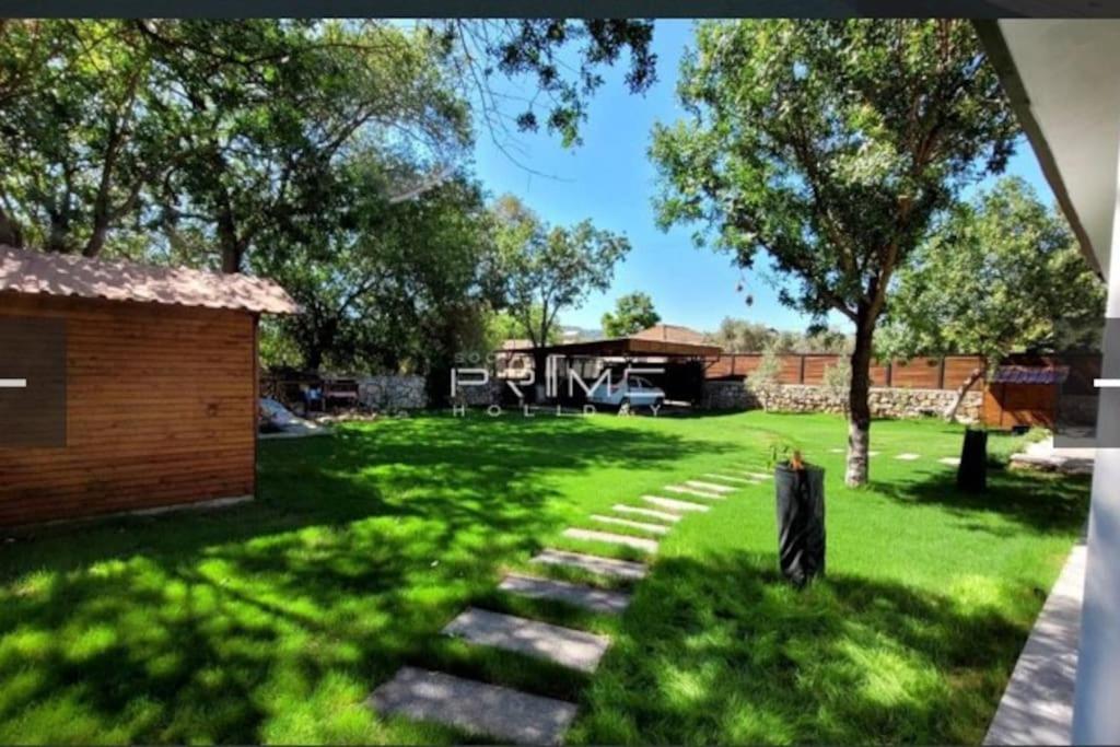 Miro House Villa