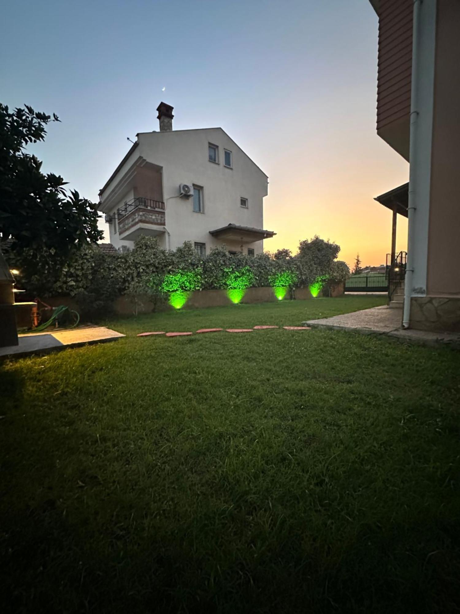 Seda