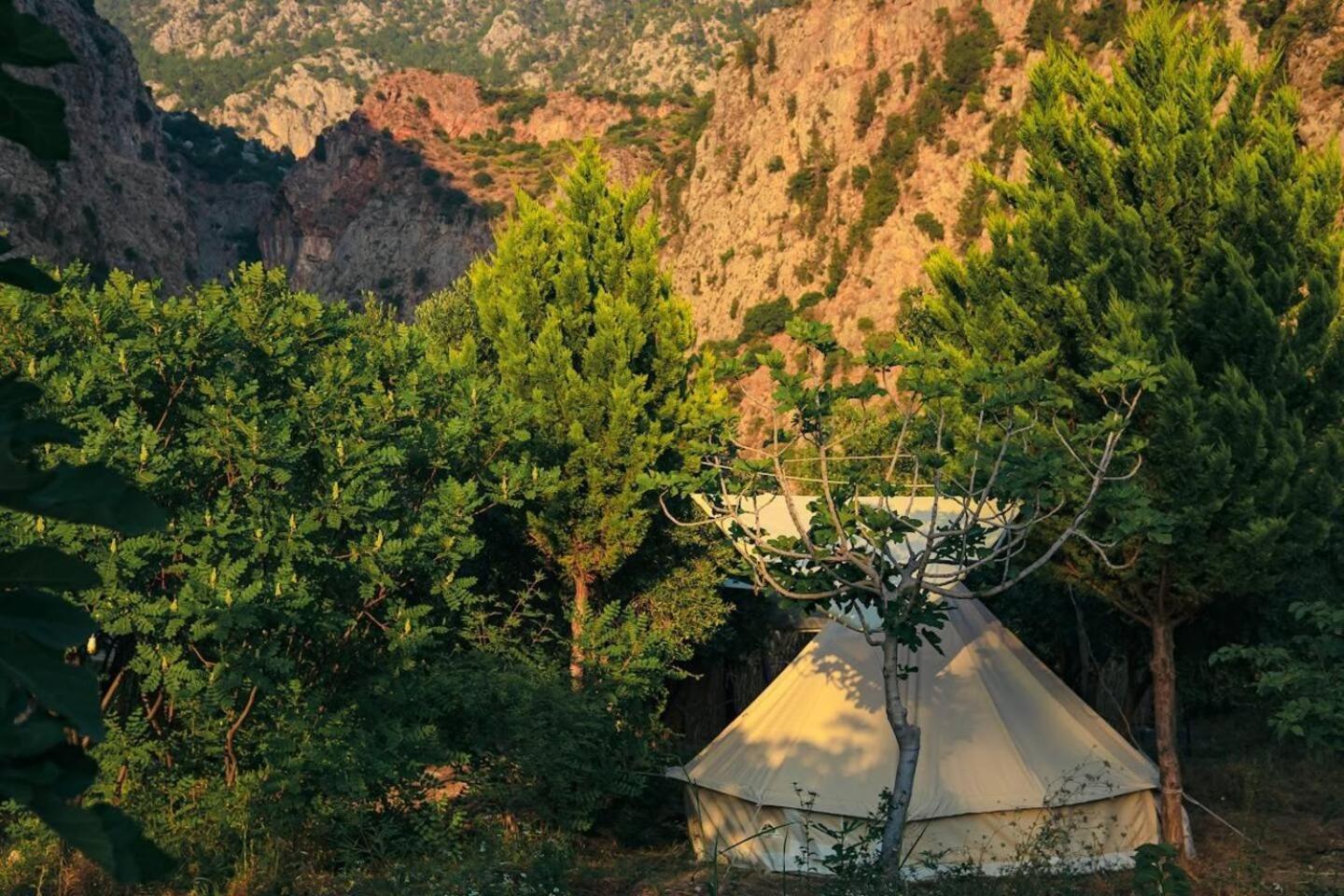 Luxury tent Butterfly Valley Glamping