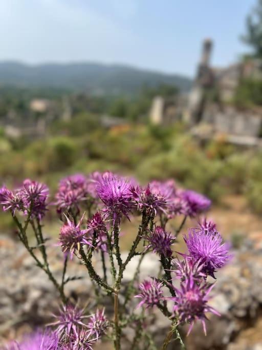 Villa Sarnic Fethiye