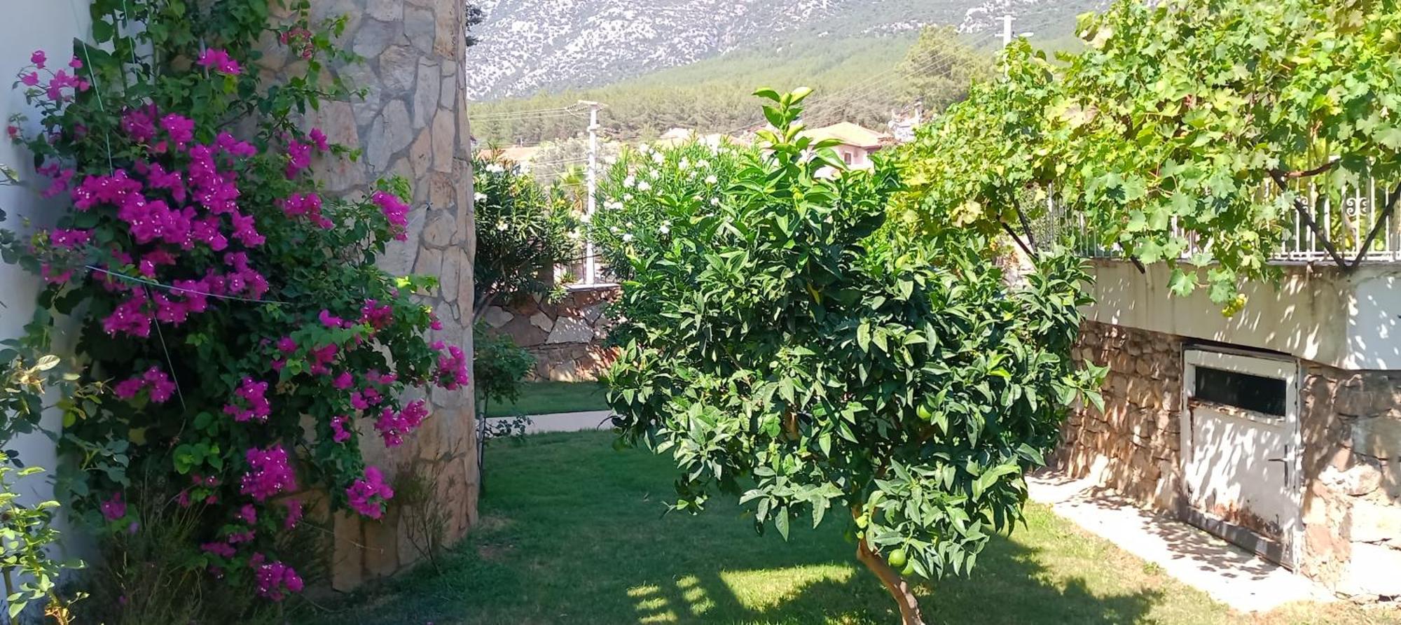 Palm Villa Fethiye