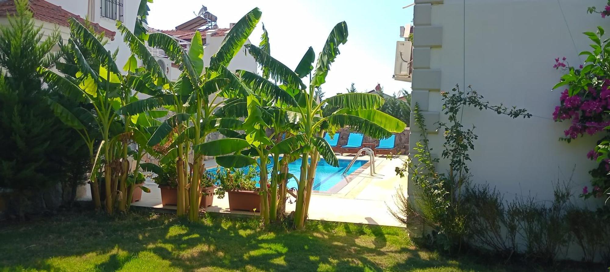 Villa Palm Fethiye