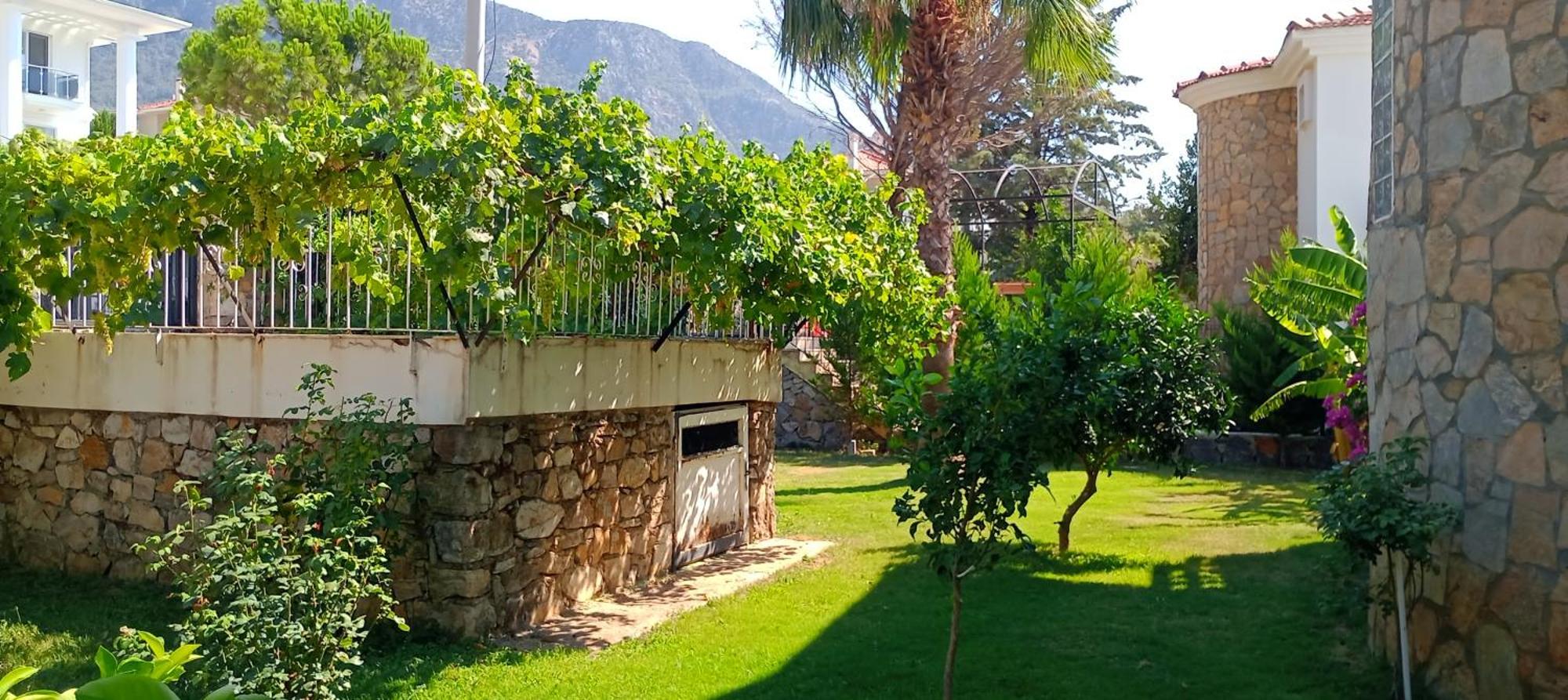 Palm * Fethiye