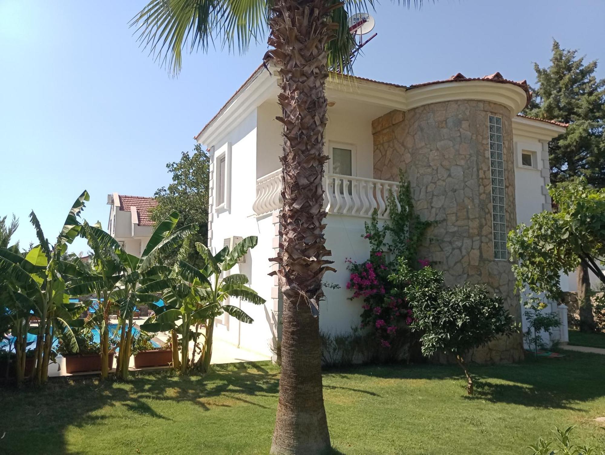 Villa Palm