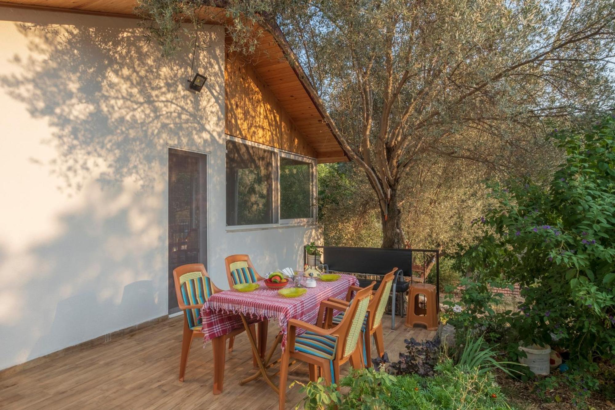 Rose Garden With Private Pool And Jacuzzi Villa *