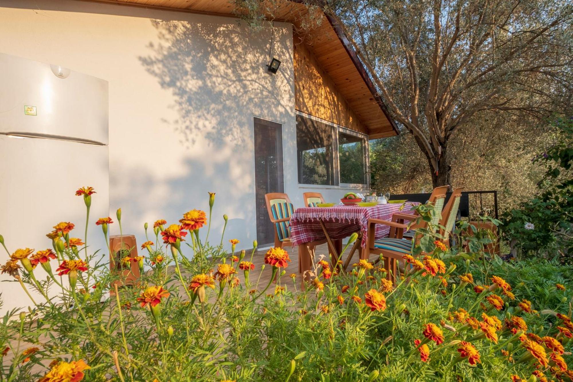 Rose Garden With Private Pool And Jacuzzi