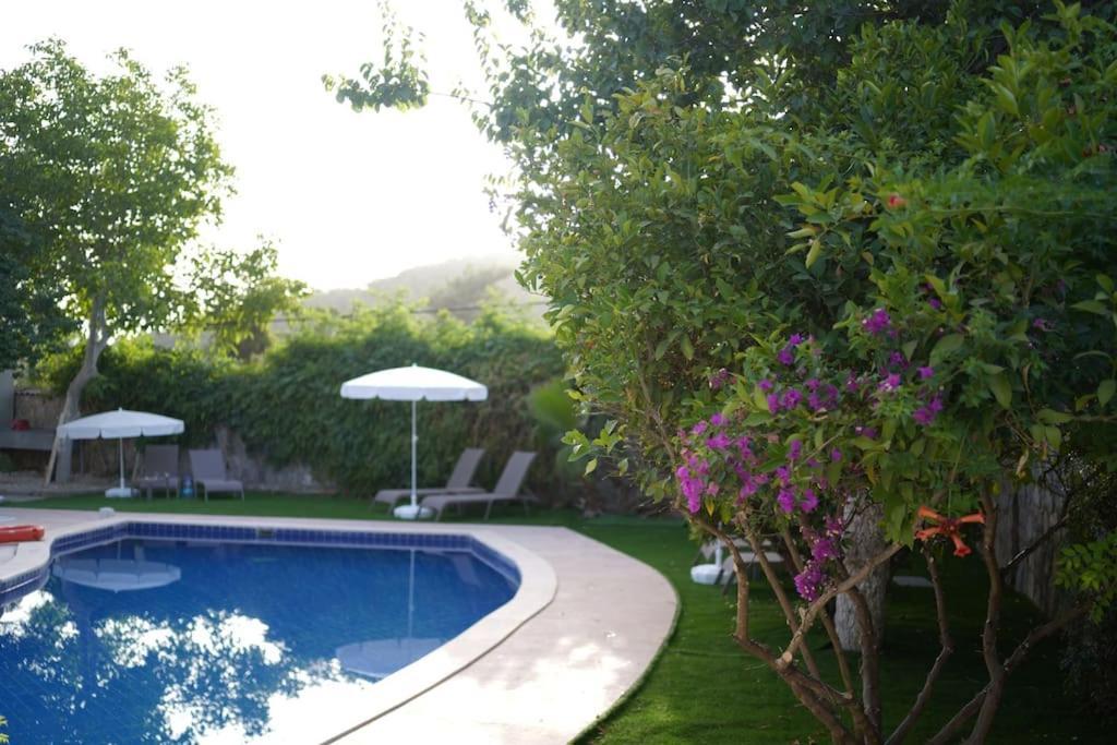 Villa Seyir *