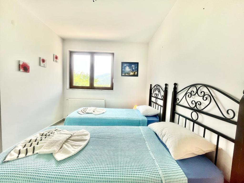Grapes Villa Fethiye
