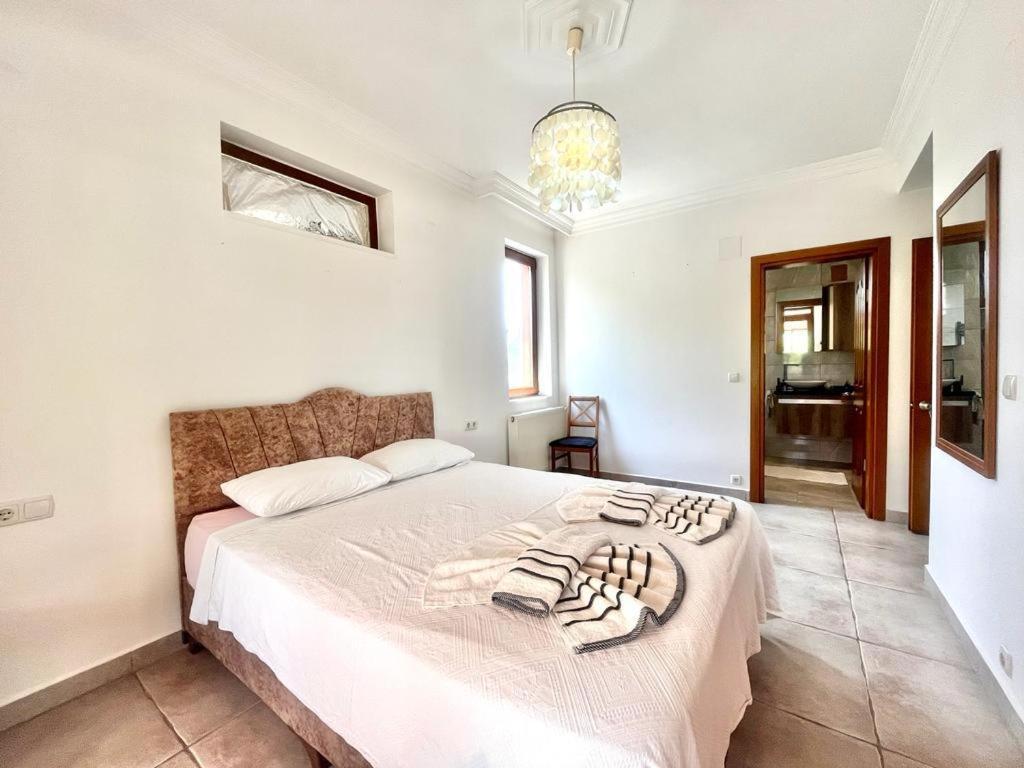 Grapes Villa *
