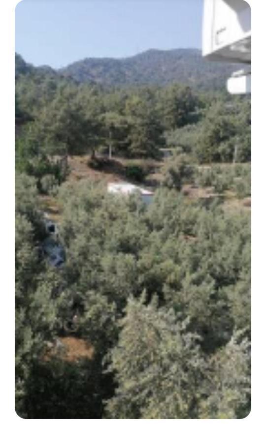 Elif-su1 * Fethiye