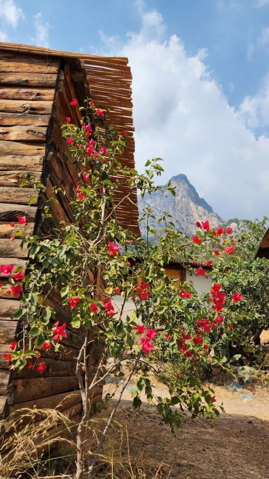 Bed & Breakfast Zion Bungalov Fethiye