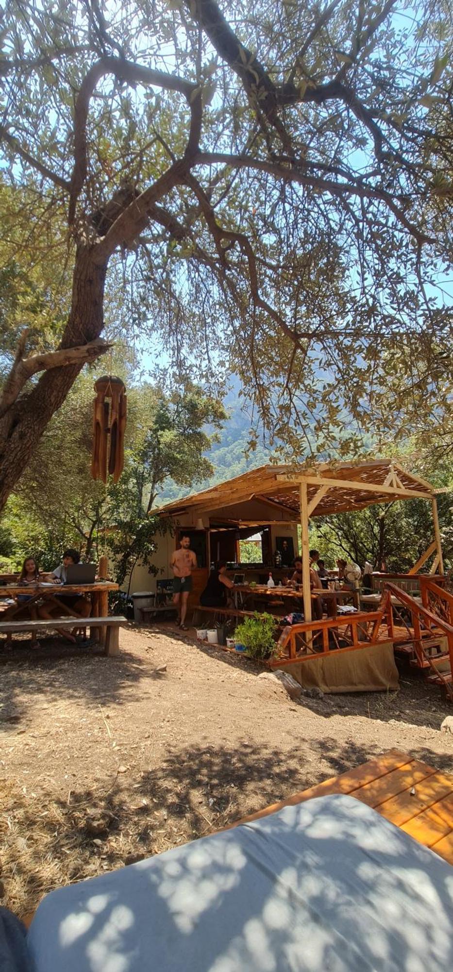Bed & Breakfast Zion Bungalov *