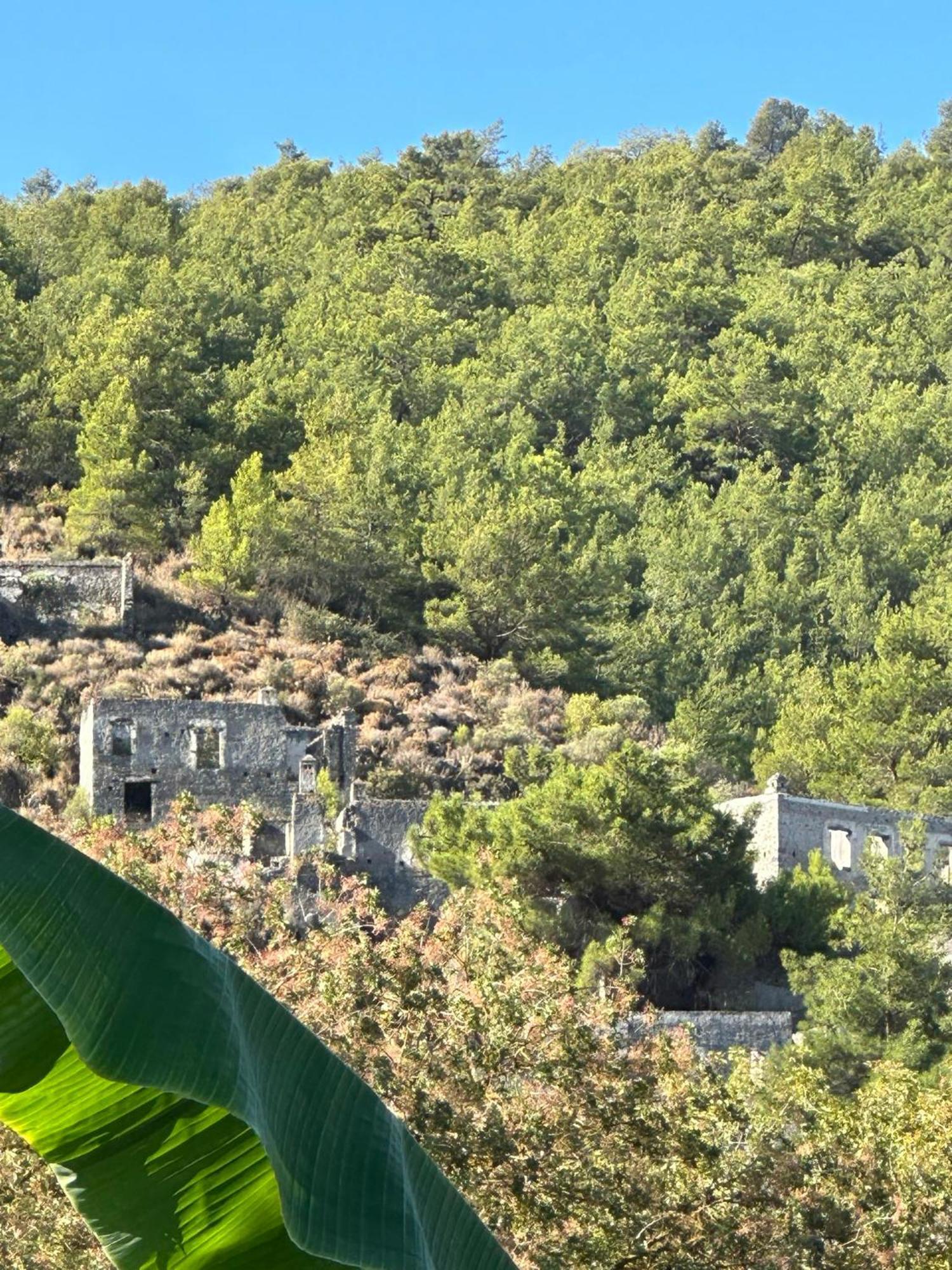 Plum Garden * Fethiye