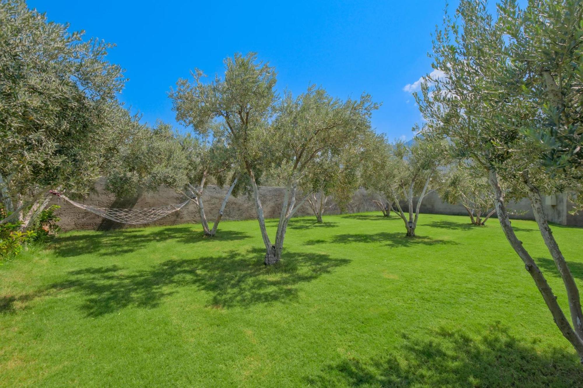 Villa Olea - Relax In Nature