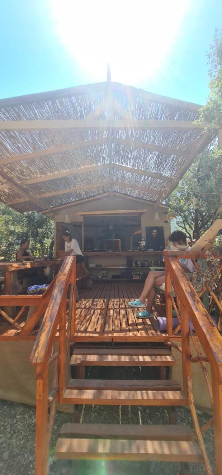 Bed & Breakfast Zion Bungalov *