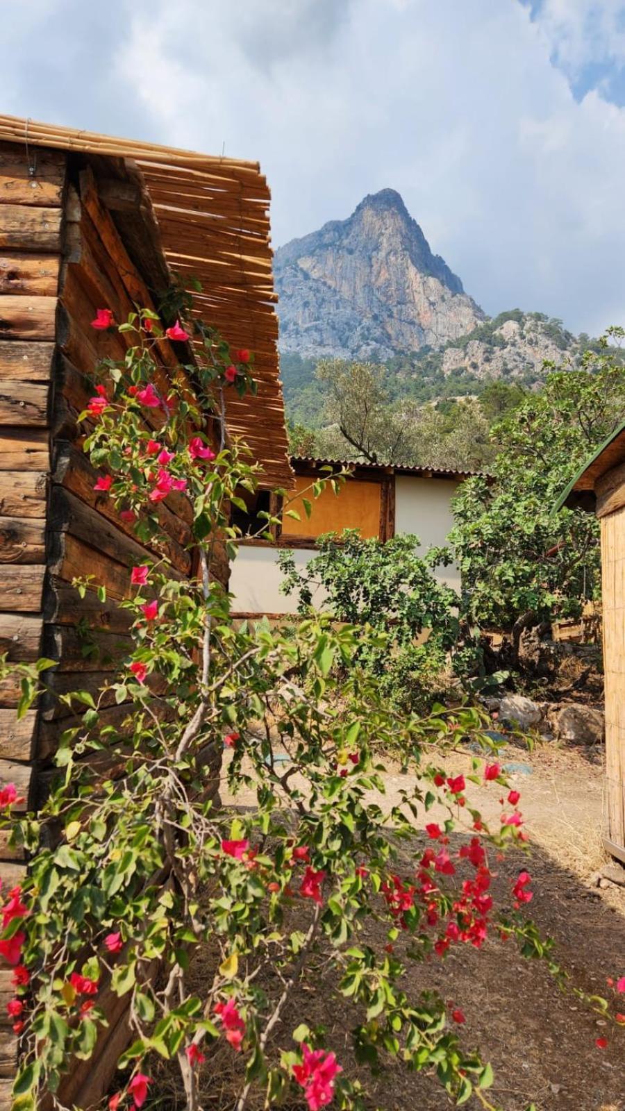 Zion Bungalov * Fethiye