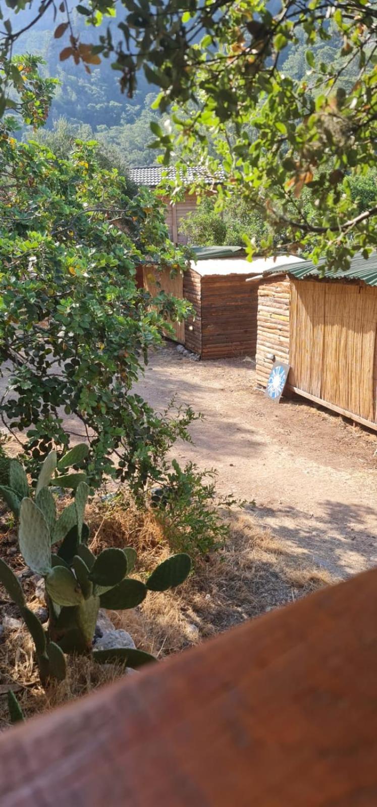 Zion Bungalov Bed & Breakfast