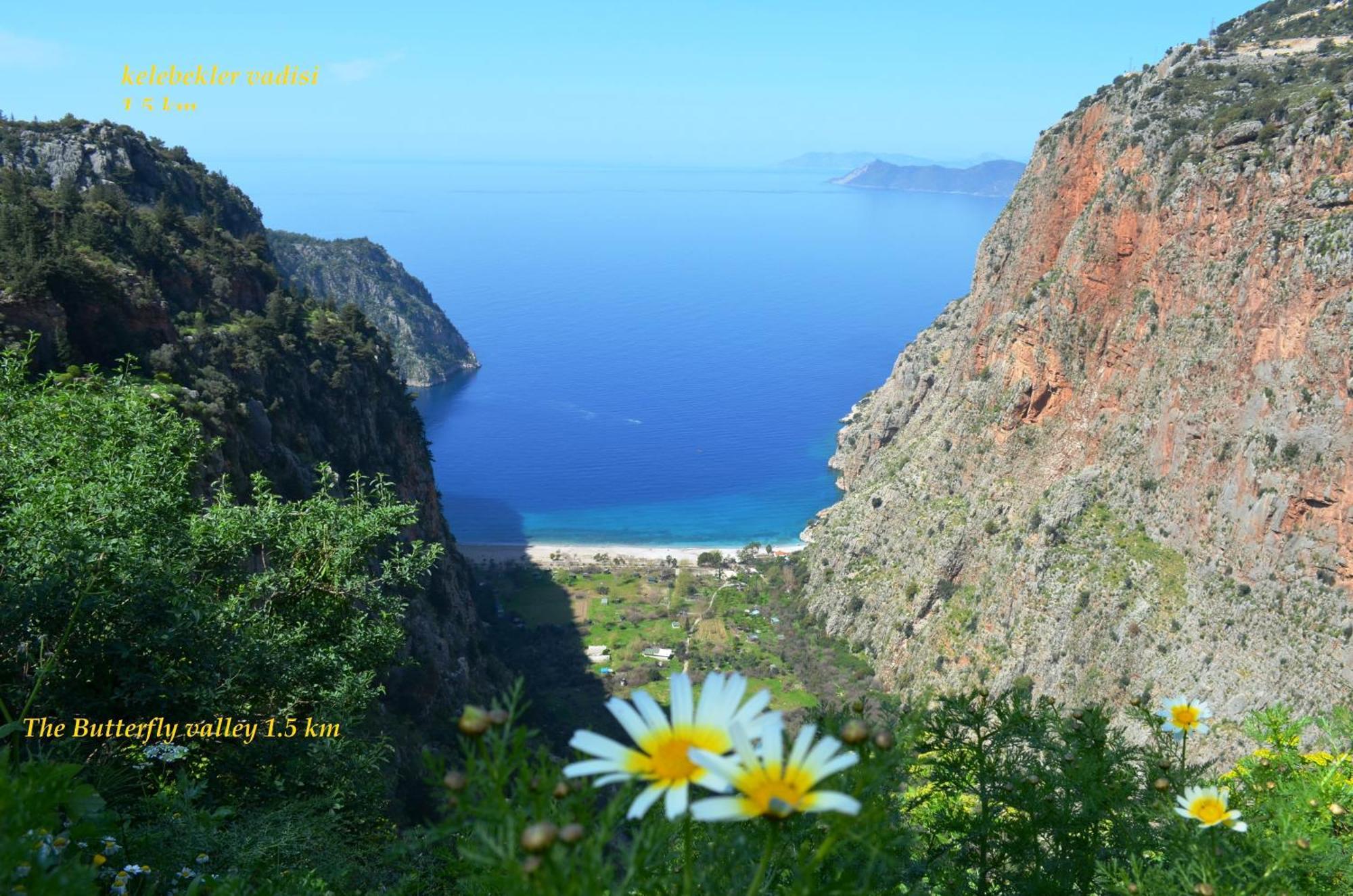 Cileks * Fethiye