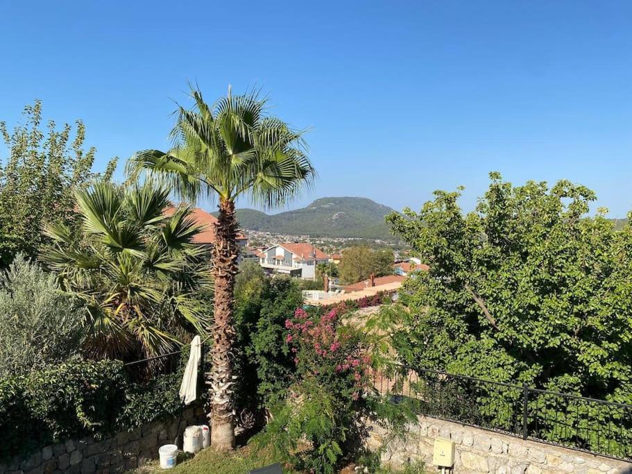 Large With Private Heated Outdoor Pool