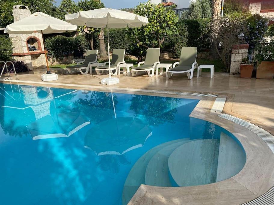 Palm Villa *