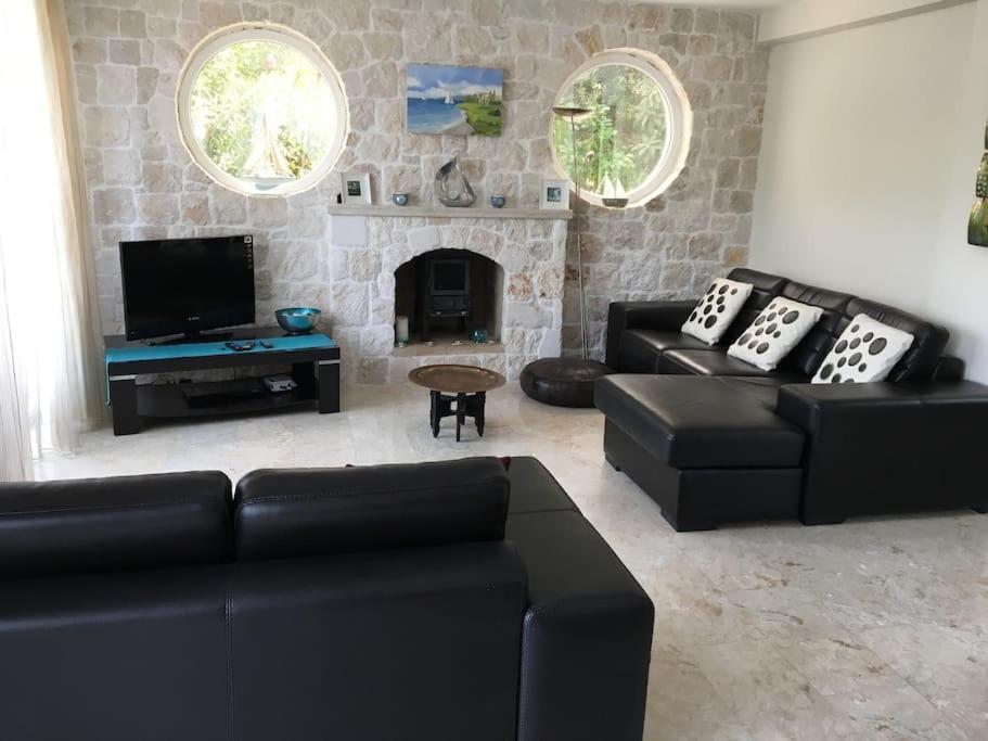 Villa Palm