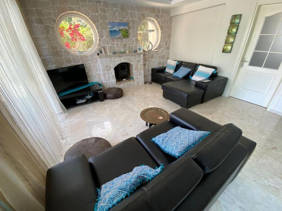 Villa Palm *