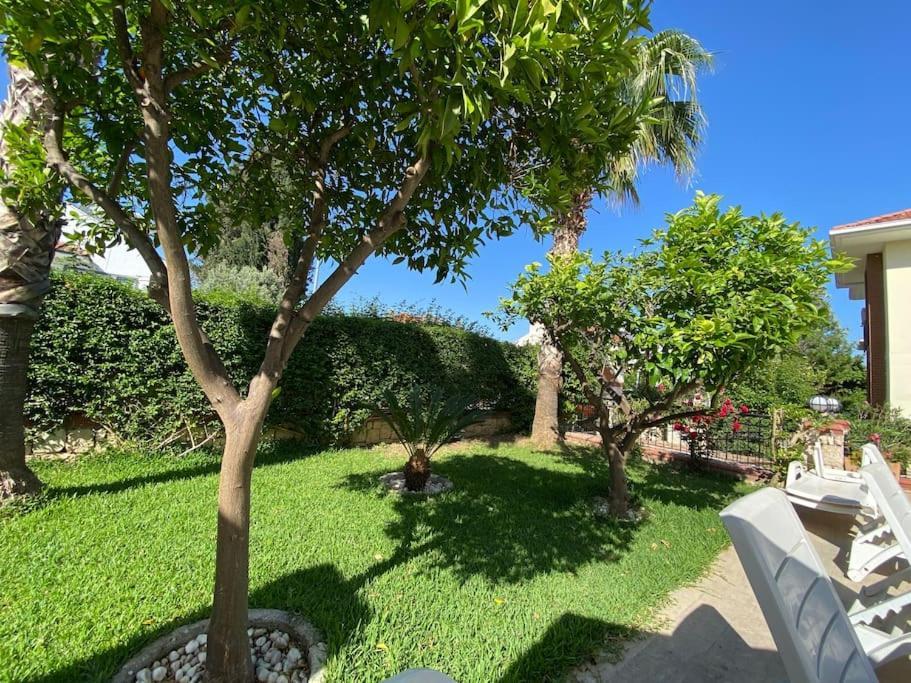 Villa Palm