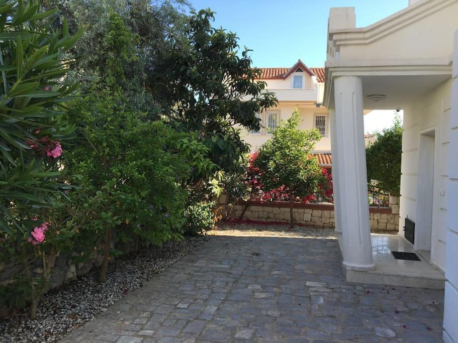 Villa Palm Fethiye