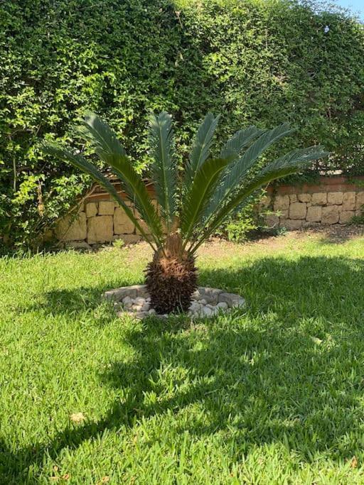 Villa Palm