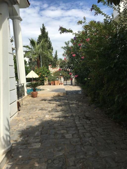 Palm * Fethiye