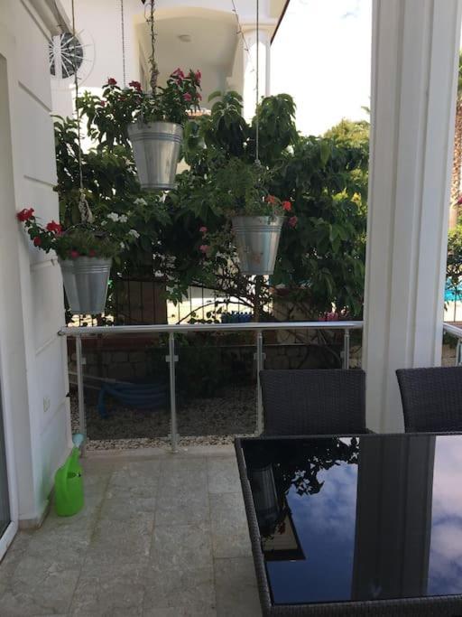 Palm Villa *