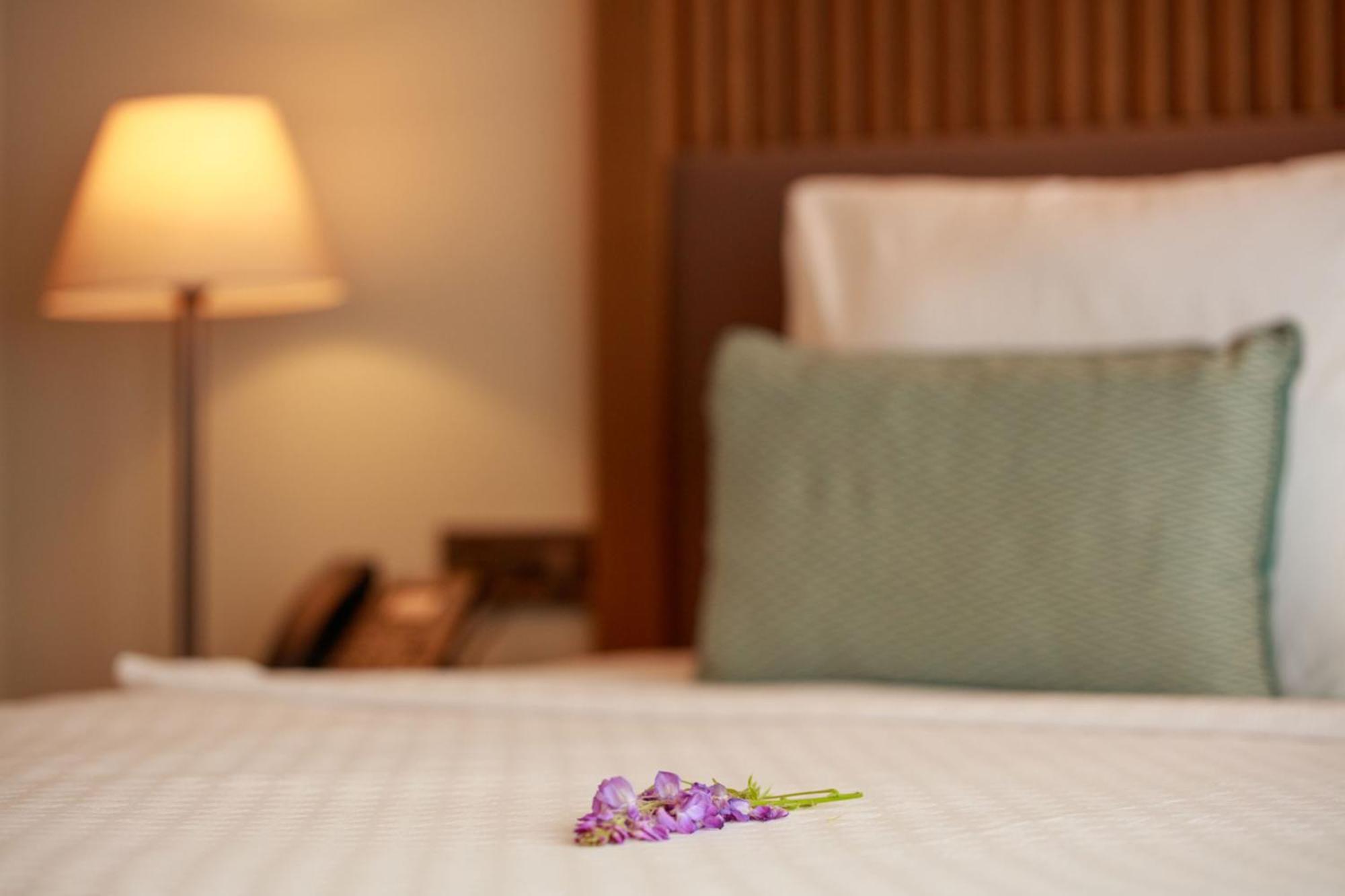 Hotel Casa Lumar Luxury *