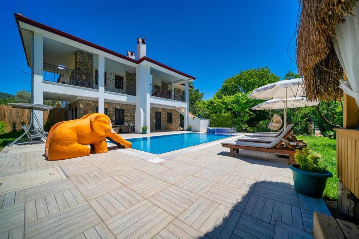 Limon Villa