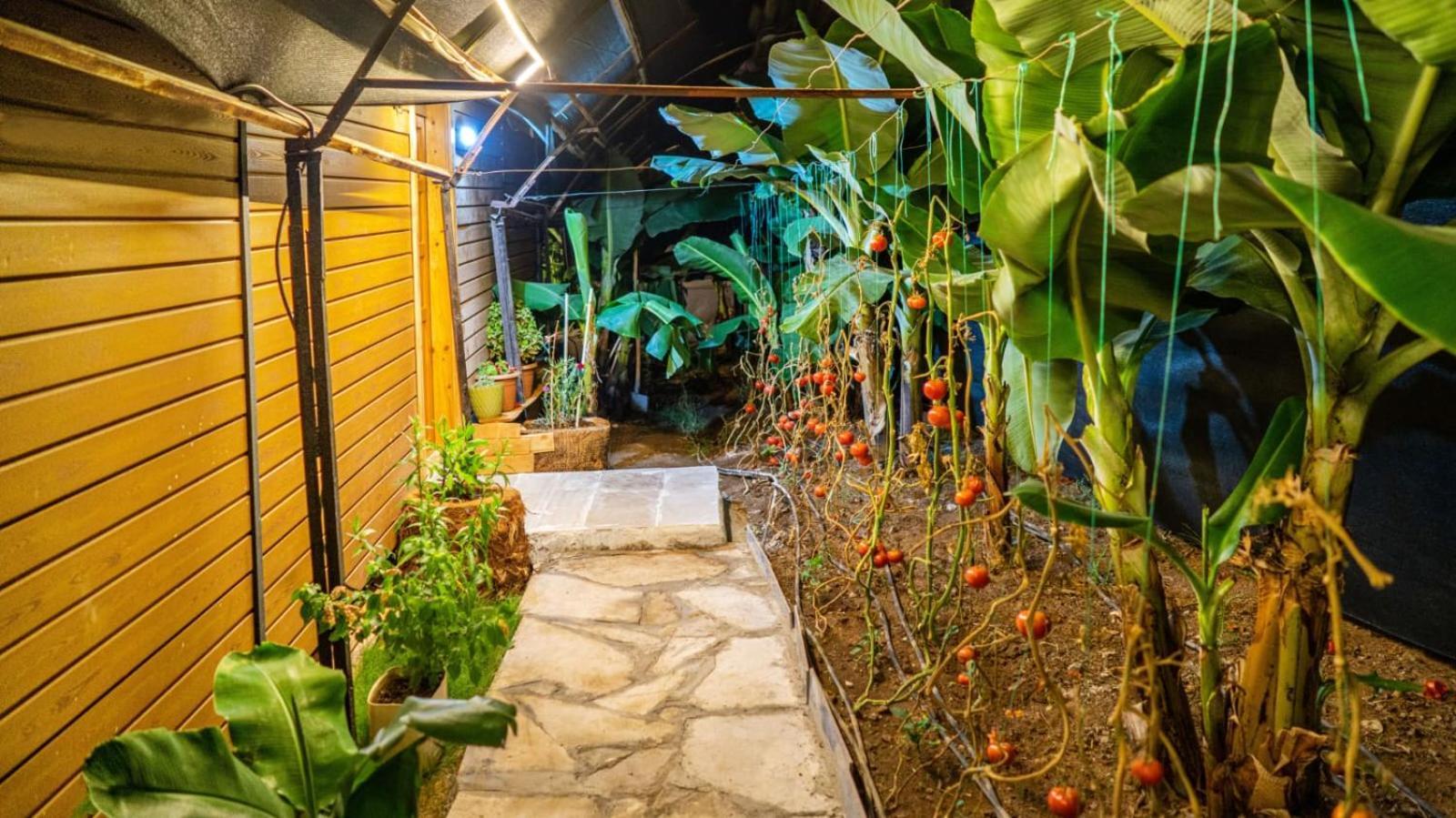 Sedir Ferienhaus