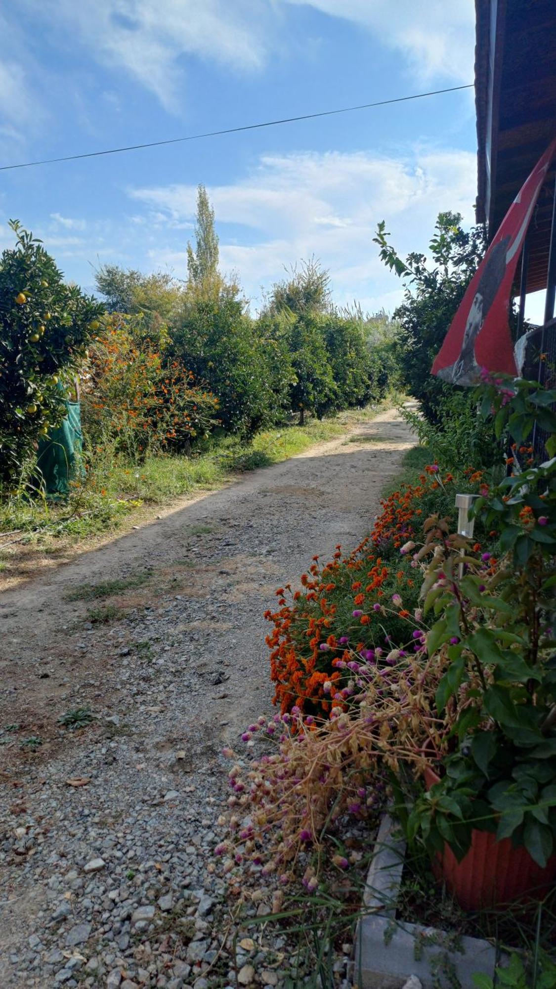 Villa Ayla Fethiye