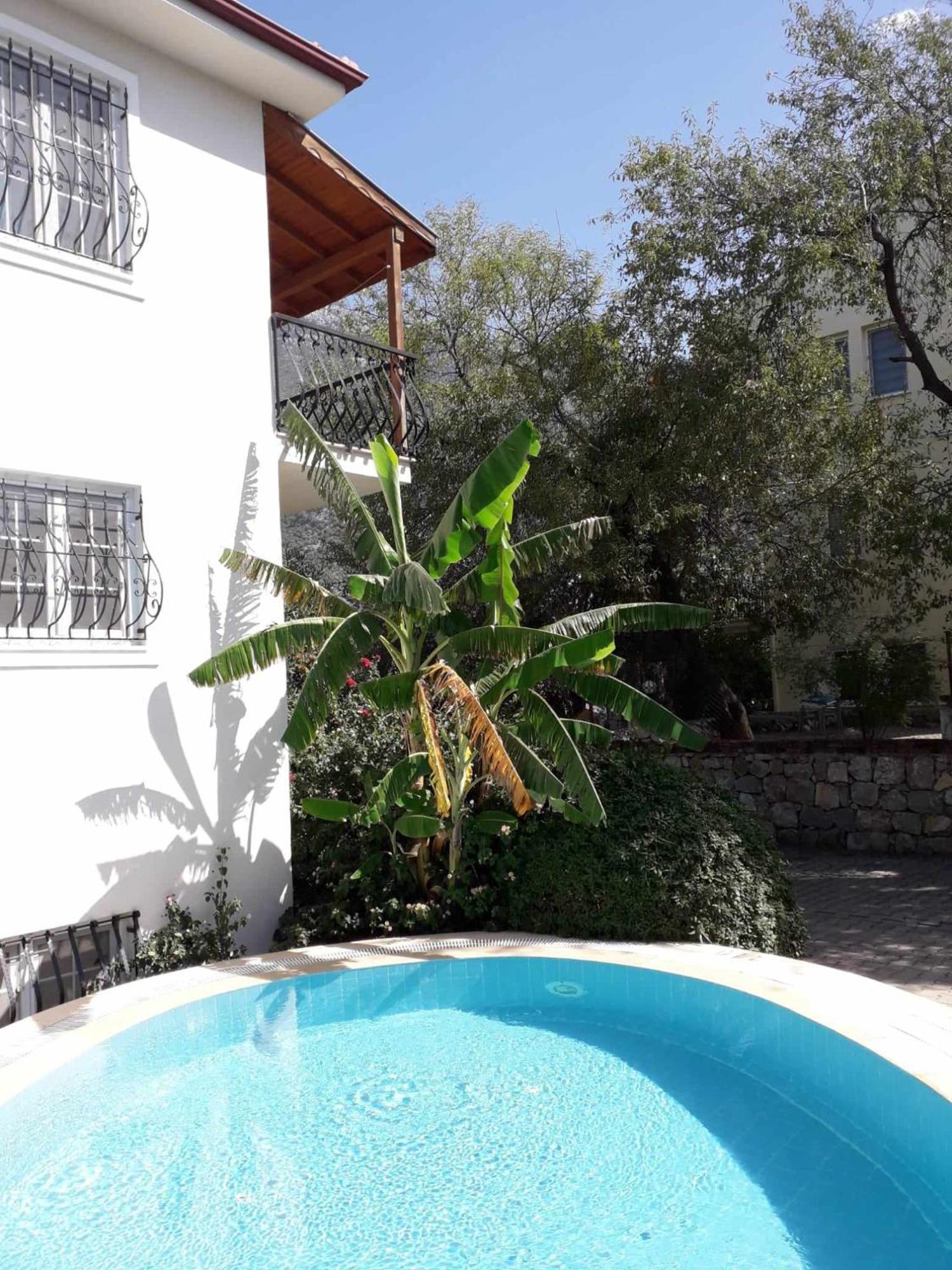 Lynste * Fethiye