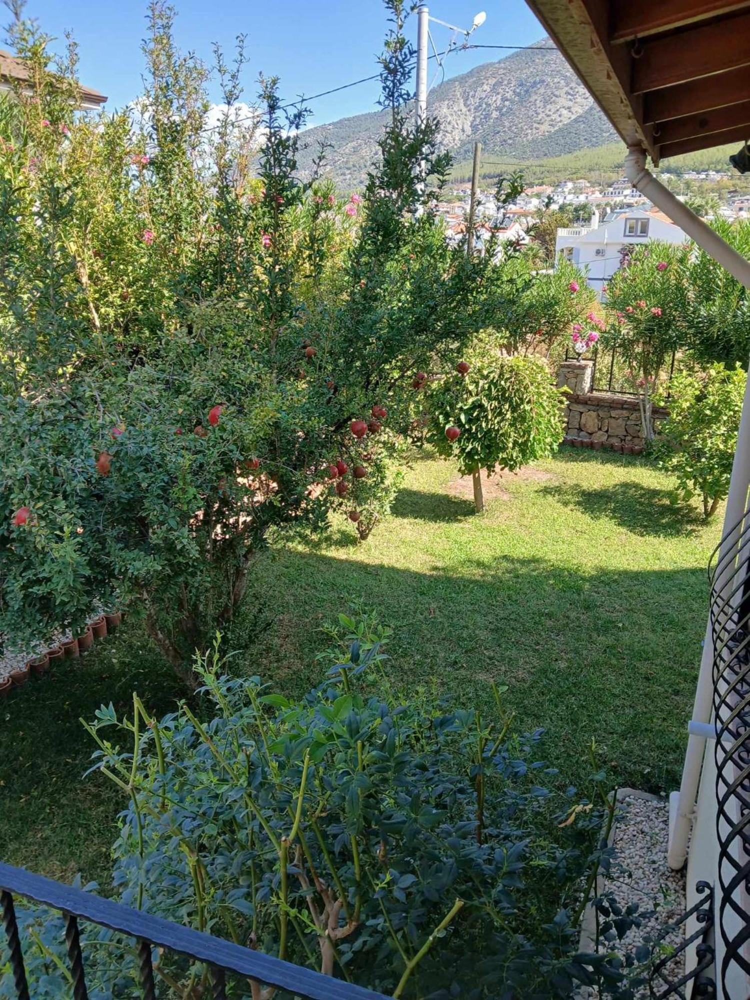 Lynste Fethiye