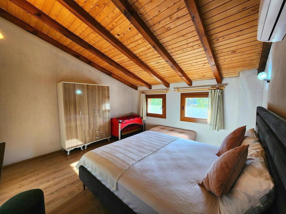 Zeka Villa