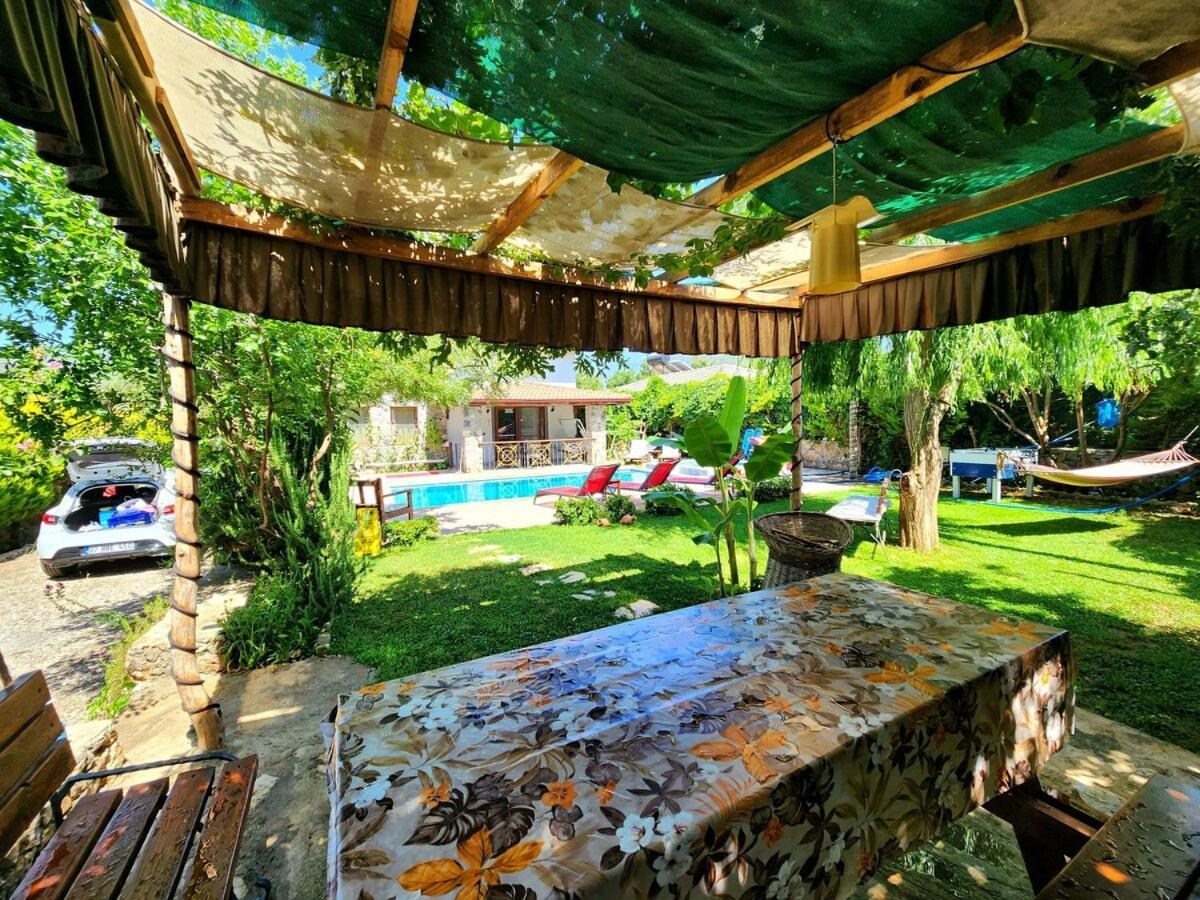 Zeka * Fethiye