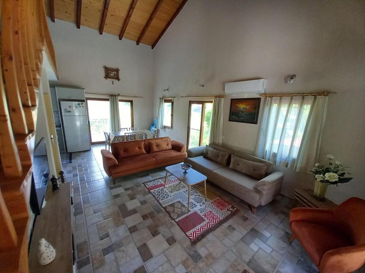 Zeka Villa