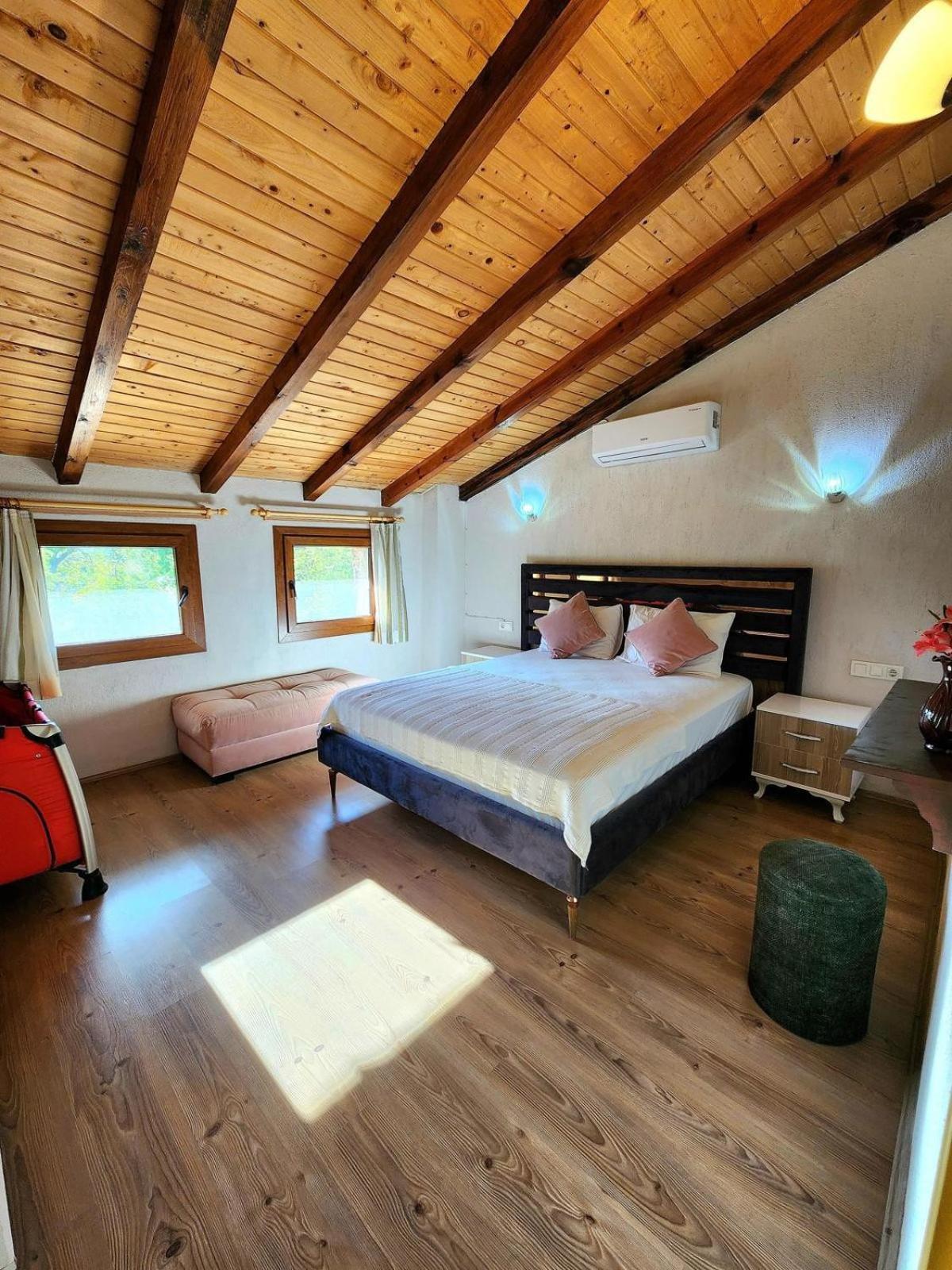 Zeka Fethiye