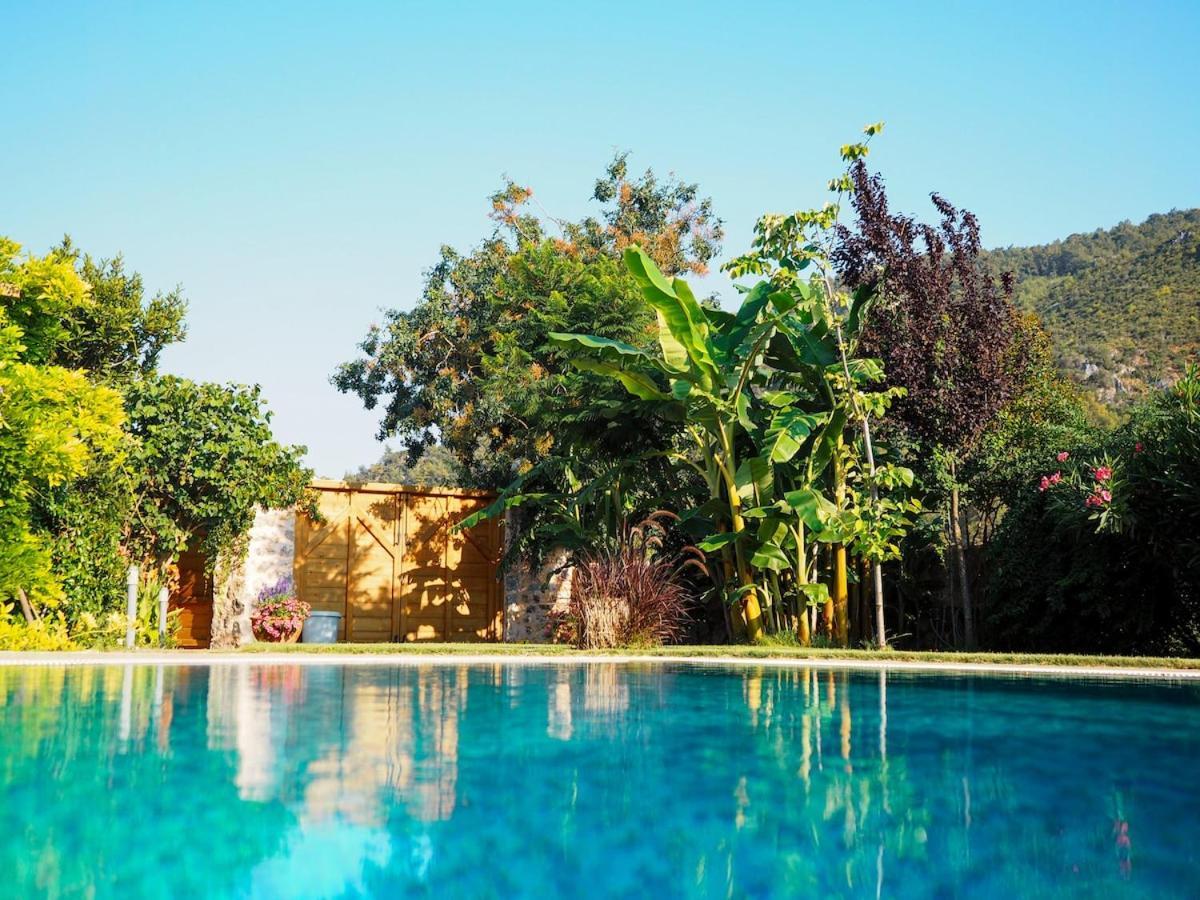 Apsara - Secluded Oasis - Big Pool - Amazing Views *