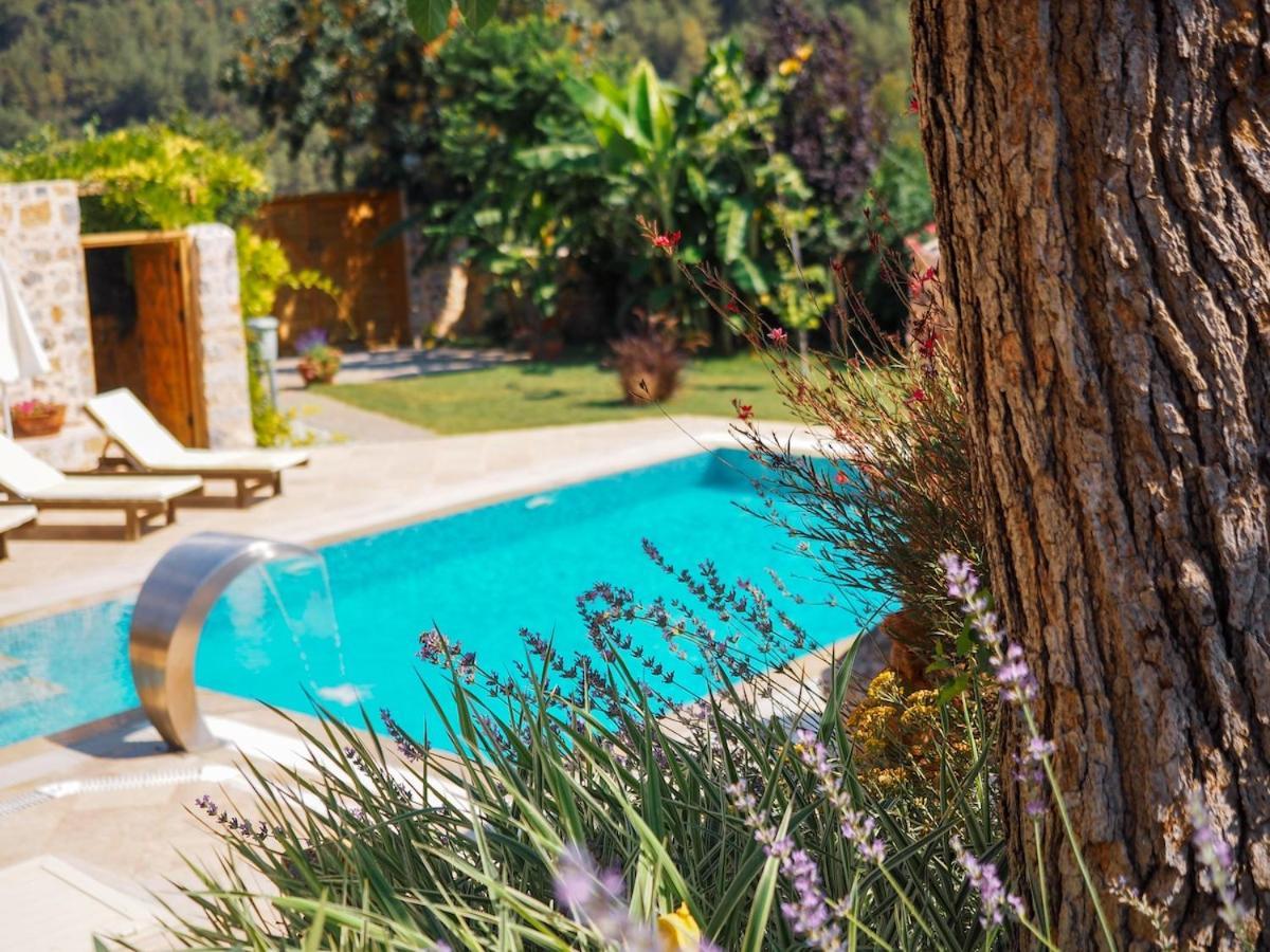 Apsara - Secluded Oasis - Big Pool - Amazing Views Villa *